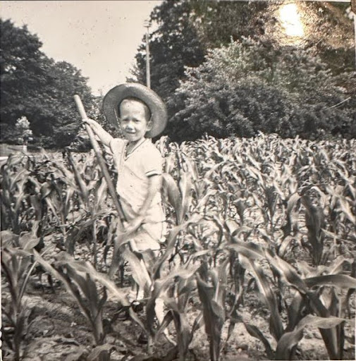 Young Andrew weeding corn field