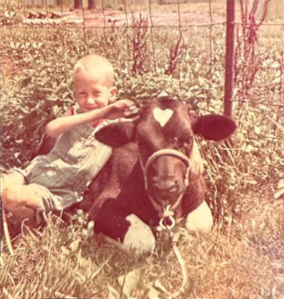 Andrew with calf Star